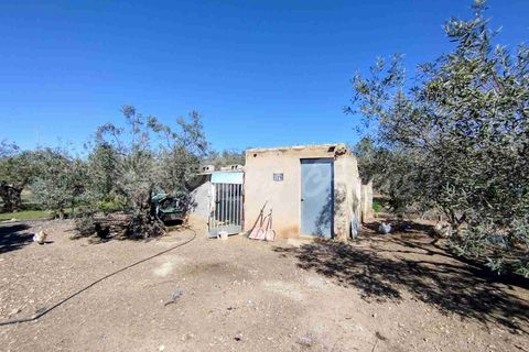 Landejendom i Caudete, Albacete, Caudete - € 149.950 | Ref: SF0574 - foto 29